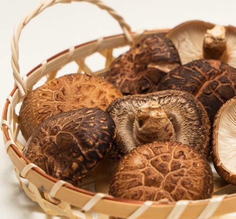 北海道産・予約受付中 肉厚ジャンボしいたけ 彰角 しょうかく6パックセット のお取り寄せ 株式会社ライジング 東神楽町