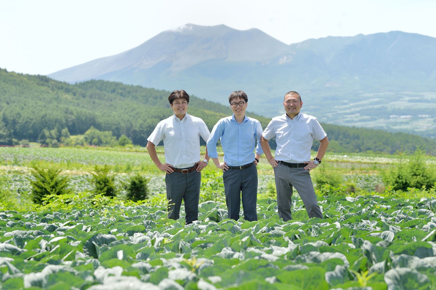 キャベツ農家に求められるスマート農業の確立 高収益化への取り組み