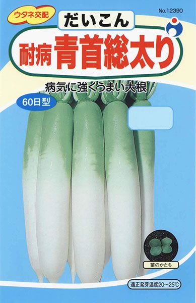 大根の選び方色や太さ、ひげの有無など美味しい大根の特徴を解説 - Fily