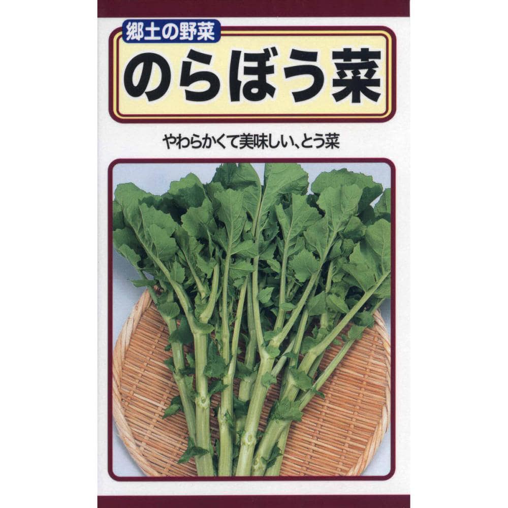 プランターで育てる ぐるぐる自然菜園ブティック・ムックno.1786竹内孝功 本通販Amazon