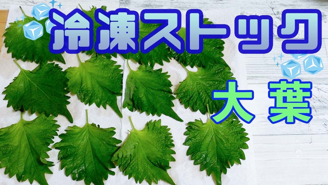 23.青しそ醤油漬けごはん泥棒冷凍法