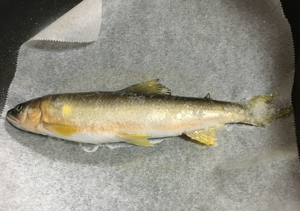 家庭の魚焼きグリルでプロの味！鮎の塩焼きのコツとポイント 漁師直伝- 田舎もネットがありゃ人生たのしめる