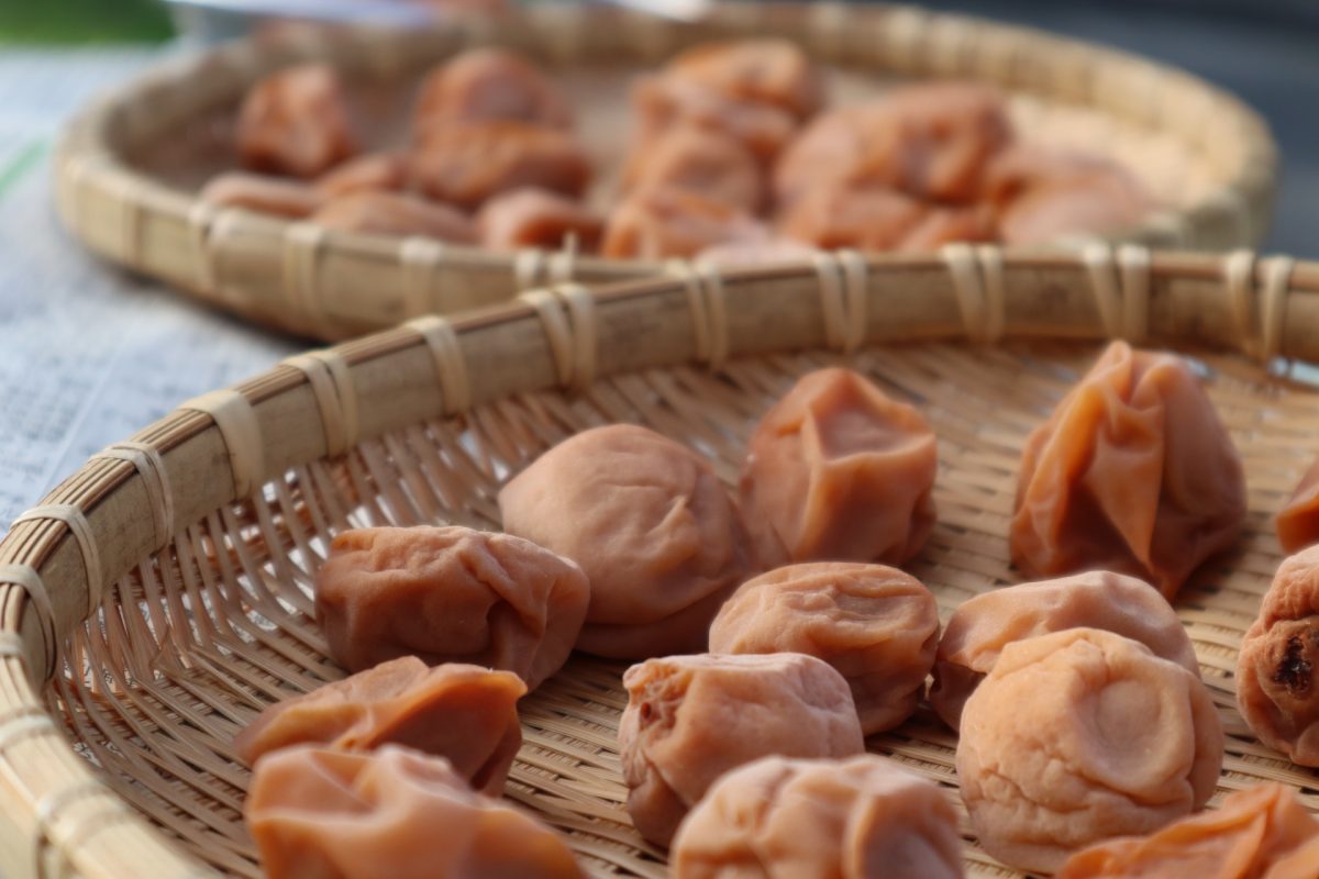 梅干しの失敗しない干し方を解説！ ザル以外で干す方法も紹介します！石神邑のよみもの梅干し専門店石神邑