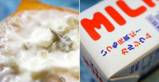 フィレオフィッシュの原型はナマズにあり - ぼうずコンニャクのお魚三昧日記