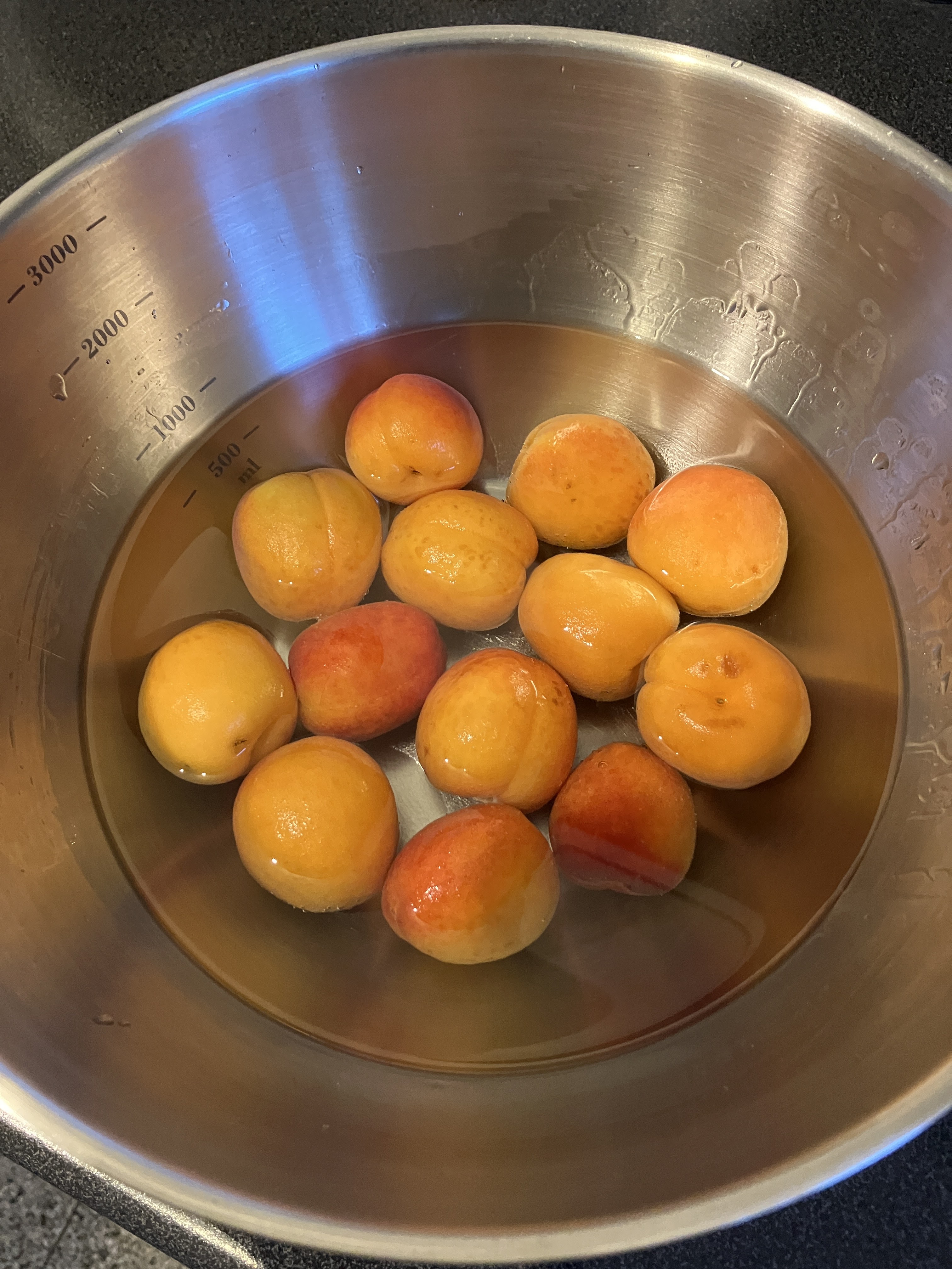 普通は干すでしょう！, だから梅干しですよね。,ですが、僕は干さない！しかも梅酢、梅干し、梅シロップが同時に手に入る。梅干しも梅酢同時に手に入れるコツが,最初から塩も砂糖もアルコールも何もいらない！, 梅だけで仕込みます。,梅干し梅酢梅酒梅エキス梅シロップ