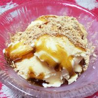 阿蘇・小国郷特産 ジャージー牛乳アイス・パーティセット2.4L バニラ480ml×3、抹茶480ml×2阿蘇 小国郷特産 ジャージー牛乳 アイスパーティセット 2.4L バニラ 3個 抹茶 2個 氷菓 アイスクリーム 濃厚 大容量 ギフト 贈答用 セット お取り寄せ 熊本 南小国町 送料無料