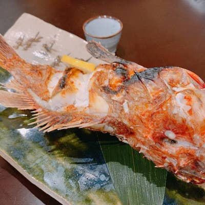 店舗案内富山の地魚・地酒を味わえる高岡の海鮮居酒屋十魚八ととはち