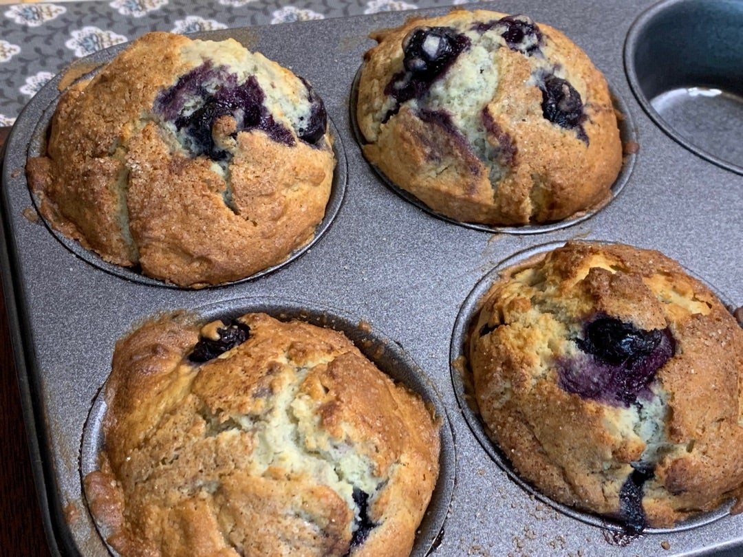 Chubby Blueberry MuffinsYutaokashi