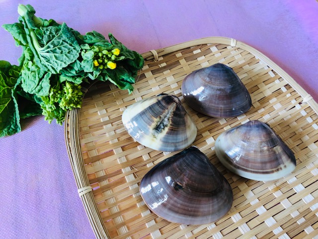 あさり・はまぐり魚の保存方法柏崎魚市場 公式HP 新潟県柏崎市