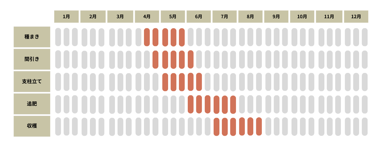 栽培キットエンジョイプランター ベジ＆フラワー 枝豆・ミニトマト・ひまわり 全3種聖新陶芸 家庭菜園キット : 町の小さな雑貨屋さんアポンapoml - 通販 - Yahoo!ショッピング