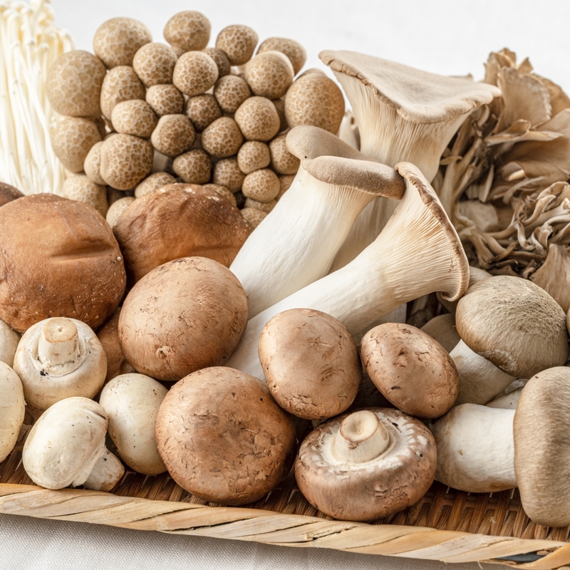 きのこは洗う？洗わない？洗い方とレシピもご紹介デリッシュキッチン