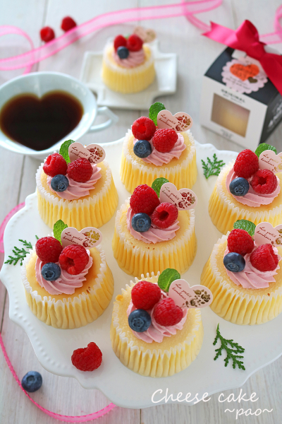 Decoration Cake Selection レアチーズケーキ