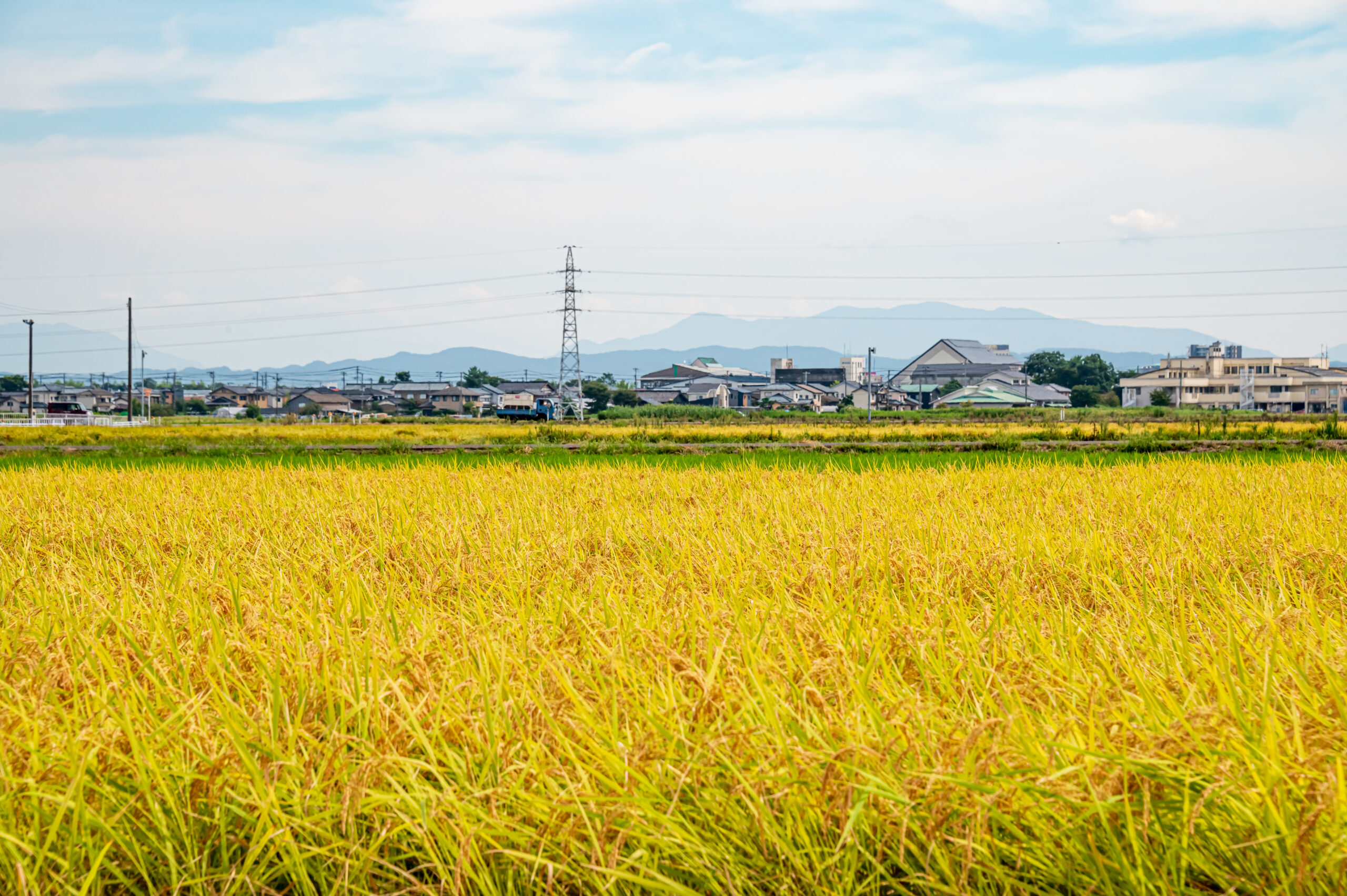 田んぼからの便り 5kg×2袋 10kg 複数原料米 田んぼからの便り