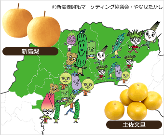 野菜王国・高知からお取り寄せ。元気に育ったとびきり新鮮な野菜といちじく