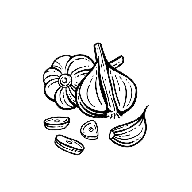 にんにくを知る。コープさっぽろの広報誌 Cho-co-tto ちょこっと