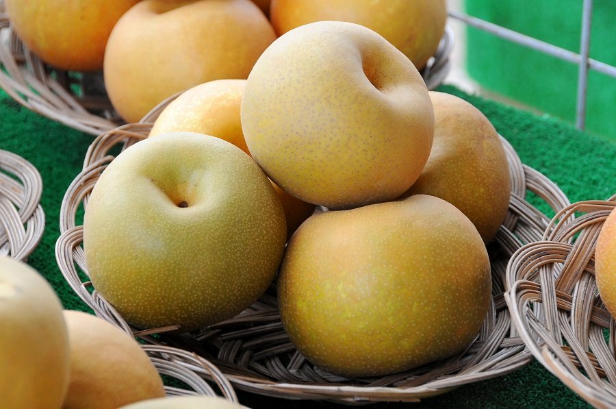 みずみずしい厳選フルーツを盛り合わせた「フルーツおせち」がおいしそうTABIZINE～人生に旅心を～