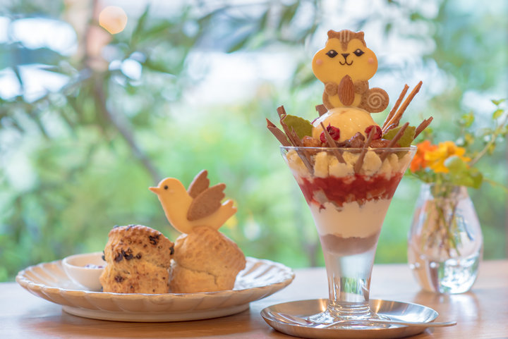 動物クッキー 25260002343 の写真・イラスト素材アマナイメージズ