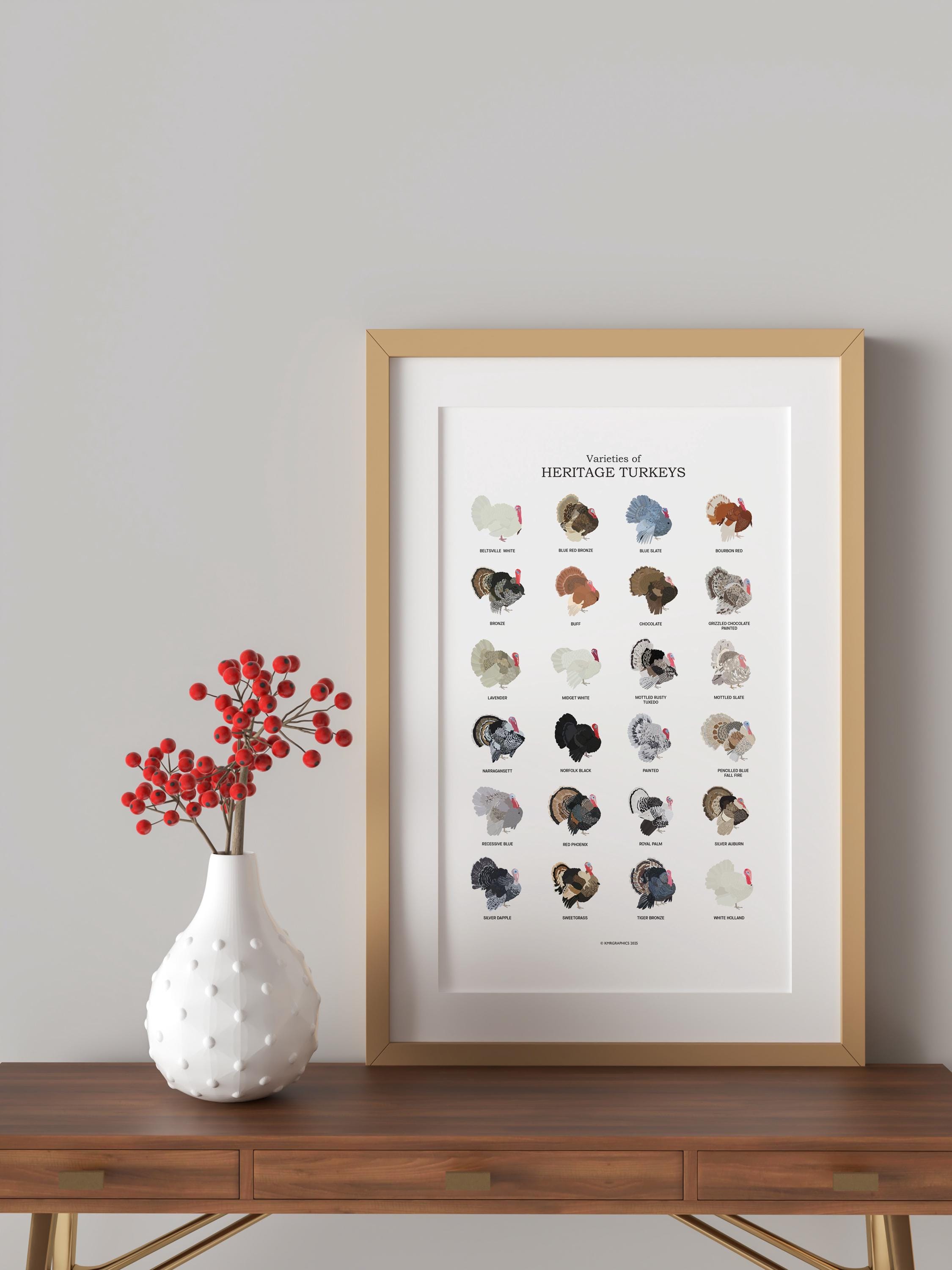 シチメンチョウの名前の由来や味・生態についてのまとめ