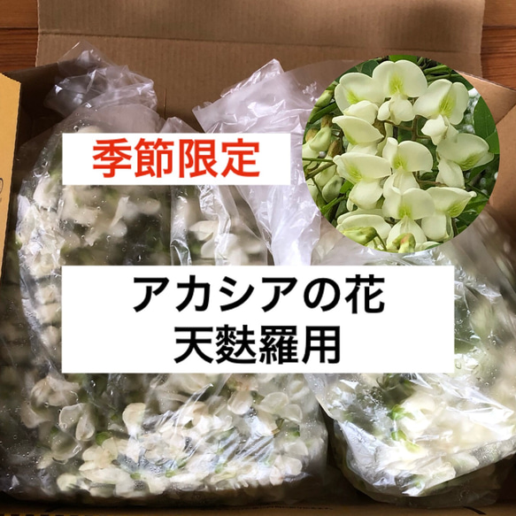 王冠キャンプ倶楽部ブログ » アカシアの天ぷら