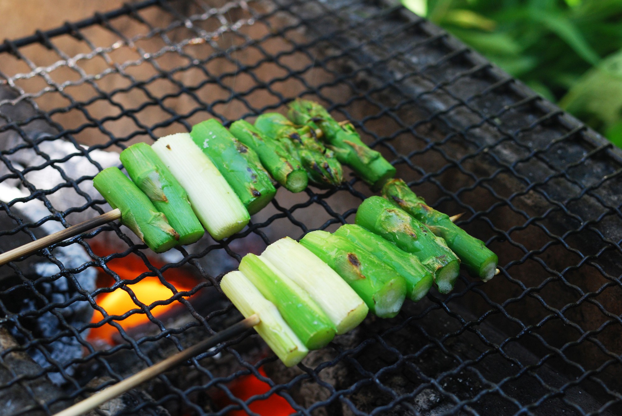野菜が主役のアウトドア料理おすすめ「串野菜」レシピUNAU MAGAZINE ウナウマガジン-理想の暮らしと住まいを探そう
