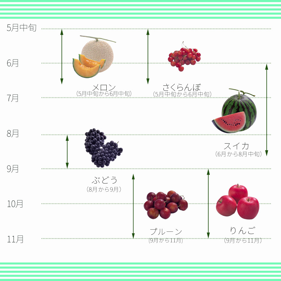秋におすすめ果物狩りデート！北海道のおすすめスポット9選！9月、10月は最盛期！おとな、あそび