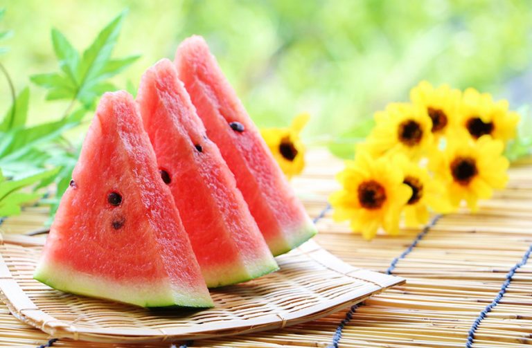 スイカみなとの野菜大辞典