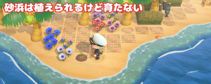 あつ森」のアイデア 11 件野菜畑, 果樹園, 森