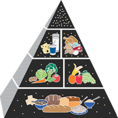 豚魚２:デザイナーズフード ピラミッドとは