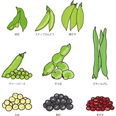 エンドウ豆」の種類とは？おいしく食べるための下ごしらえとレシピをご紹介！クラシル