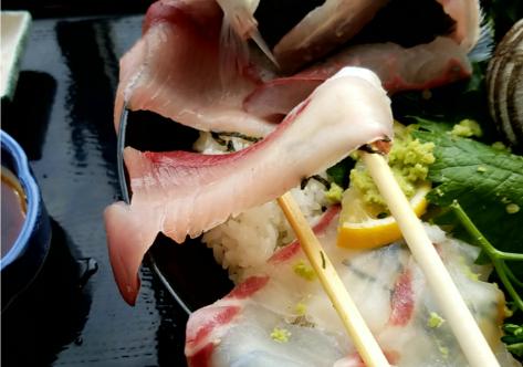 楽天市場 関サバ 関さば 刺身 天然 セット 送料無料 60ｇ×3皿 9枚前後 3人前 解凍するだけ 小分け -40度で真空冷凍 時短簡単職人が調理盛り付け 海鮮 ギフト ポン酢 紅葉おろし レシピ付き 御祝 ギフト : 天然クエ・ふぐ 王道和食板前職人