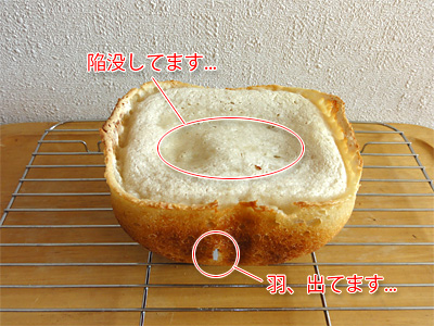 GOPANの米パンまた失敗もなみのパン屋さん