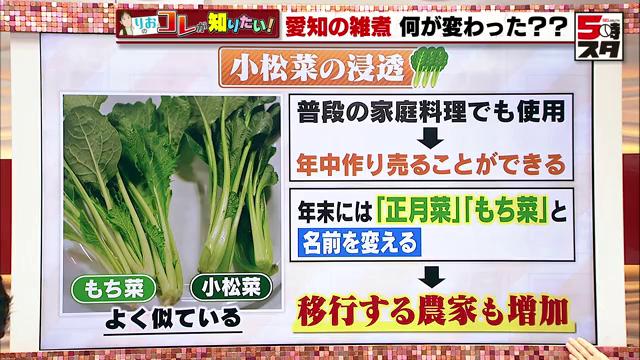 愛知の「雑煮」が変化 伝統野菜の「もち菜」が「小松菜」に 温暖化などの影響か正月に出荷できず愛知のニュース