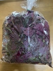 梅仕事赤紫蘇の準備 梅干し赤紫蘇