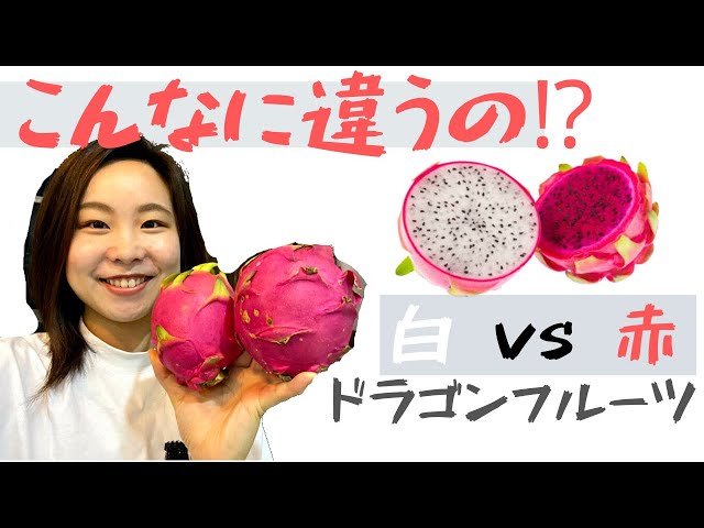 鹿児島県産ドラゴンフルーツの魅力食べ方・種類・アレンジレシピ・通販お取り寄せ情報かごしまぐるり よみもの