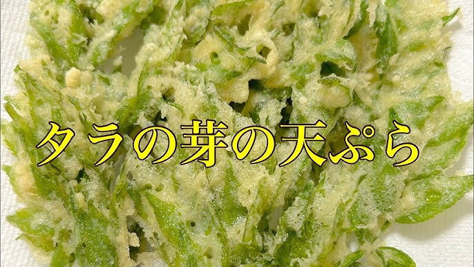 妻の実家で採れたタラの芽の天ぷらがびっくりするサイズ感だった→妻が「東京で食べるたらぼって小さくない？」と言っていた理由がわかった -Togetterトゥギャッター
