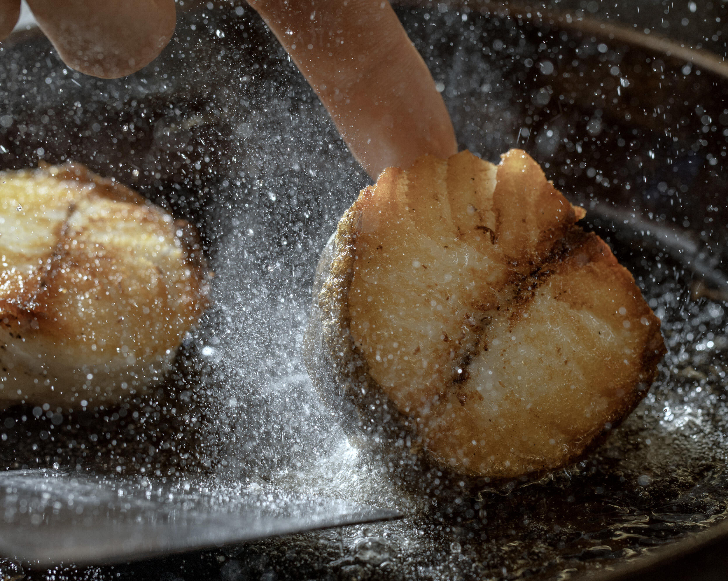 フライパンで魚を焼く 第1回 ~強火編~樋口直哉 TravelingFoodLab.