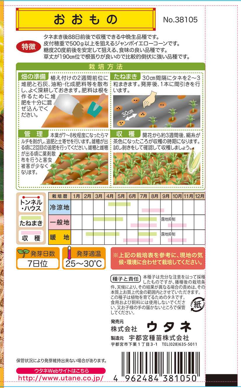 実録！週末家庭菜園トウモロコシ栽培のポイント。品種選び、栽培記録、保存方法まとめ。 - 週１回３時間！共働きのズボラ週末家庭菜園