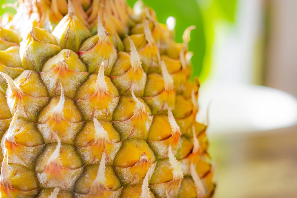 南国フルーツ、パイナップルの選び方よみもの沖縄CLIPあなたの沖縄旅を豊かにする体験予約サイト・観光情報メディア