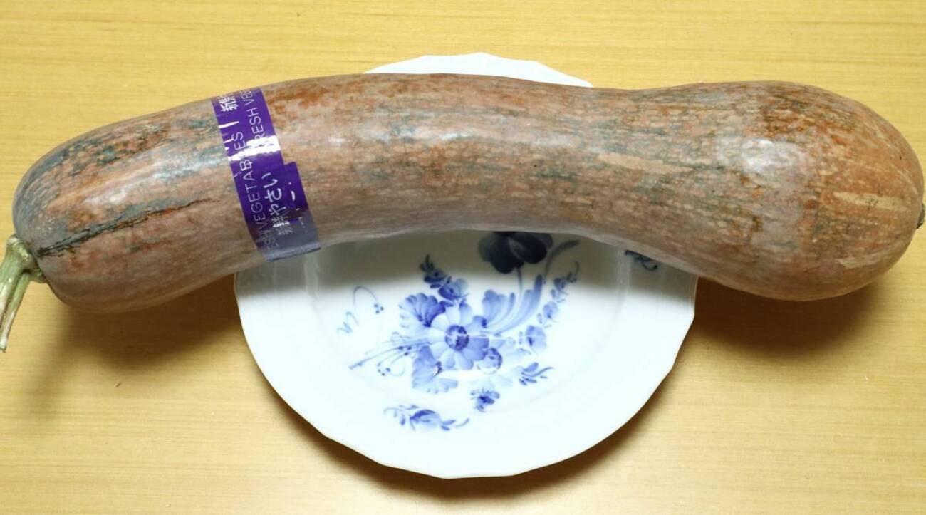 お試し 鶴首かぼちゃ野菜 かぼちゃ 産直アウル 農家から直接野菜などの食材を購入できる産地直送の宅配通販サイト