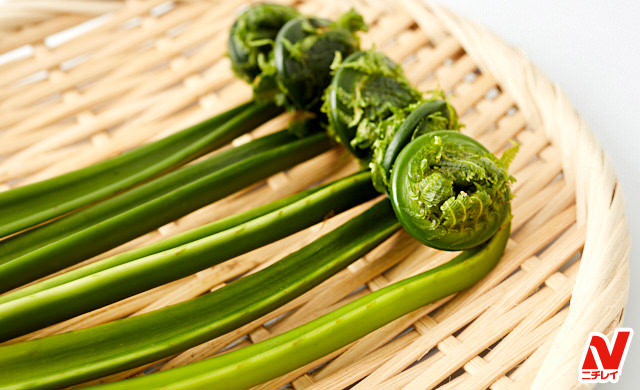 こごみ商品紹介雪国山菜越後妙高 山菜直売店公式ストア