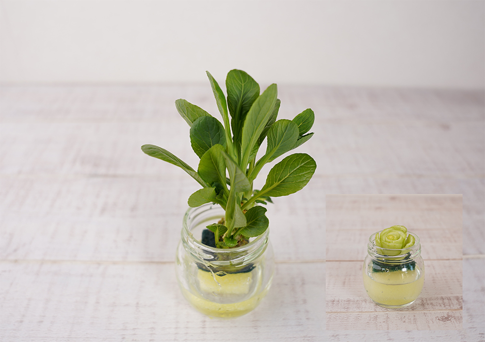 リボベジできる野菜とは? プロから学ぶ再生野菜 リボベジ生活のススメ vol.1東京ガス ウチコト