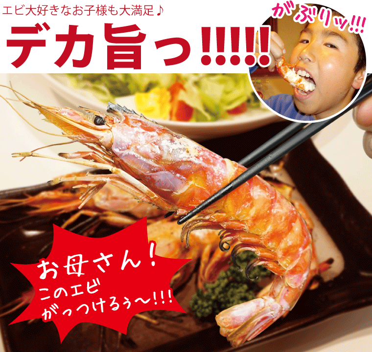 手ぶらで超豪華食材BBQ 伊勢えび＆アワビ付き！☆『海鮮スペシャルプラン』～ファミリー・カップル・女性にオススメ～ シーアイガ海月 - じゃらん遊び体験