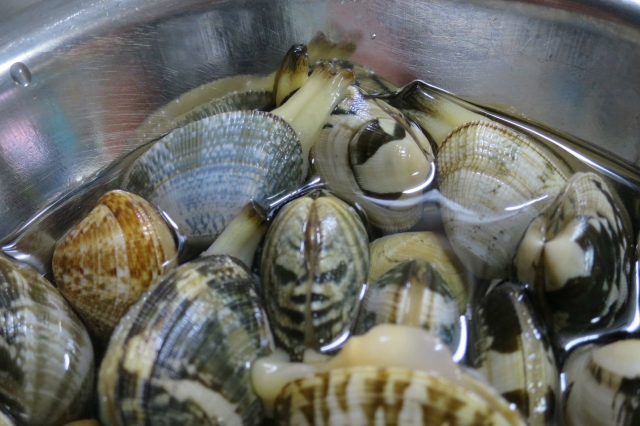 あさりの砂抜き砂出しの方法 失敗の原因・時間・保存