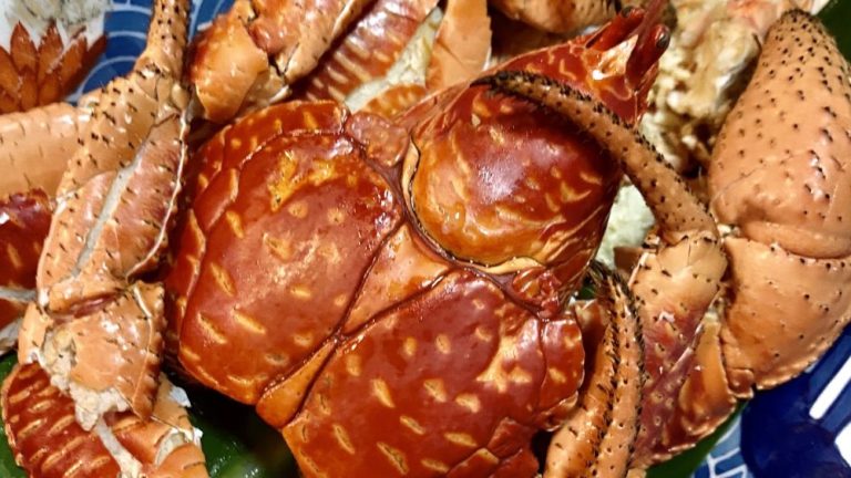 沖縄の風景:Dr.コトー診療所にて その４