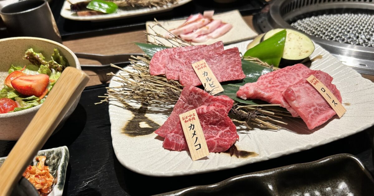 全6回定期便厳選希少部位 長崎和牛 ミスジステーキ 約500g 100g×5枚壱岐市株式会社MEAT PLUS肉 牛肉 和牛 ミスジステーキ ご褒美 ギフト 贈答用 ご褒美 冷凍配送 JGH145精肉・肉加工品