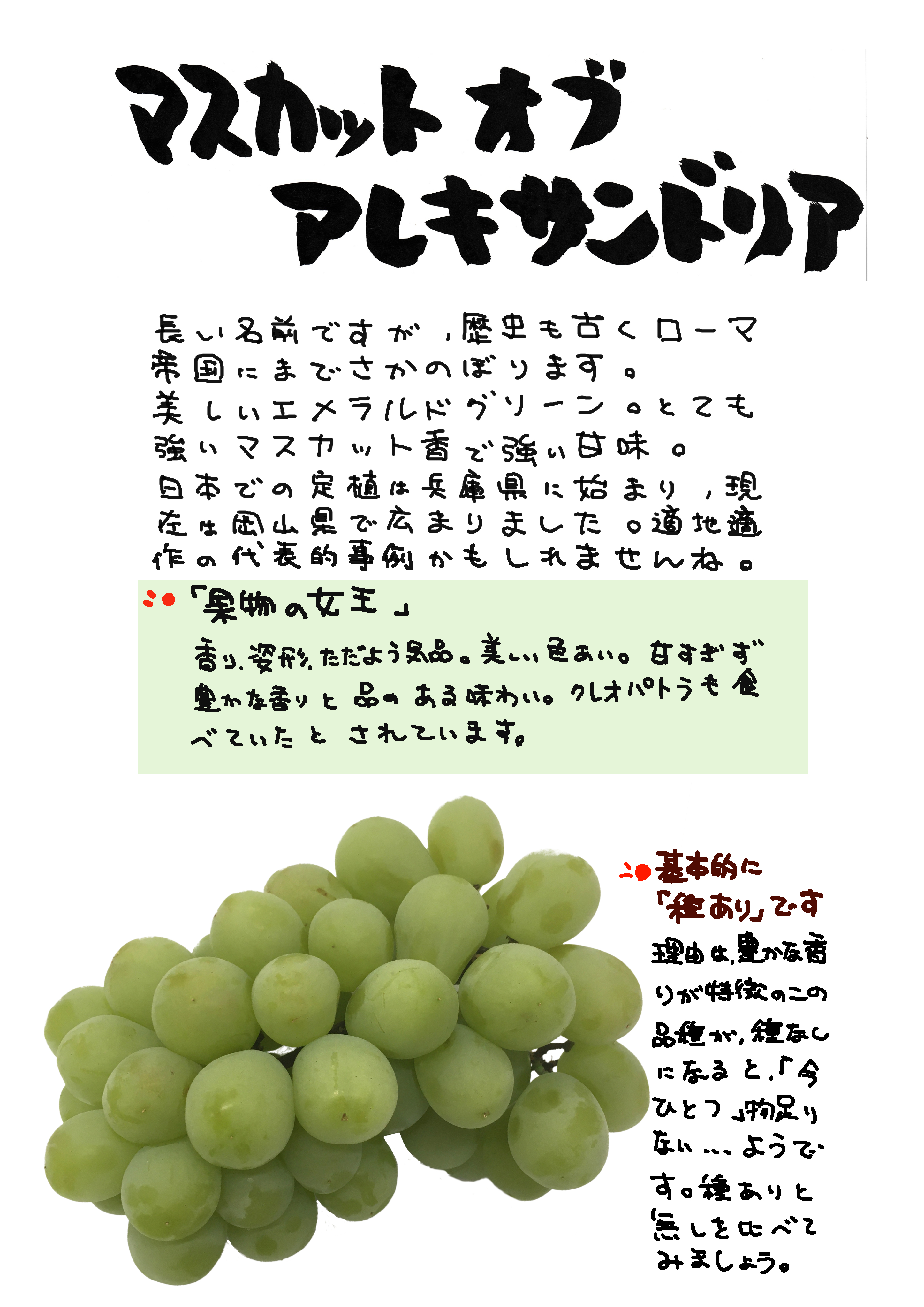 麗紅にカクテルフルーツetc！名前にインパクトがあるイケメン野菜・果物10選野菜ソムリエ Hiro のベジフルポケット