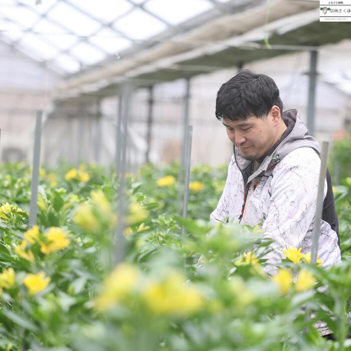 花農家直送！！こちらはご予約専用ページです❀ ⚠︎お任せMIX一旦休止