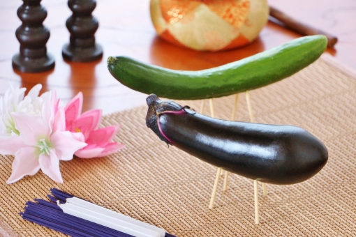 カレーのなす おいしい切り方はコレ！ 入れるタイミングなど調理のコツもカレーハウスハウス食品