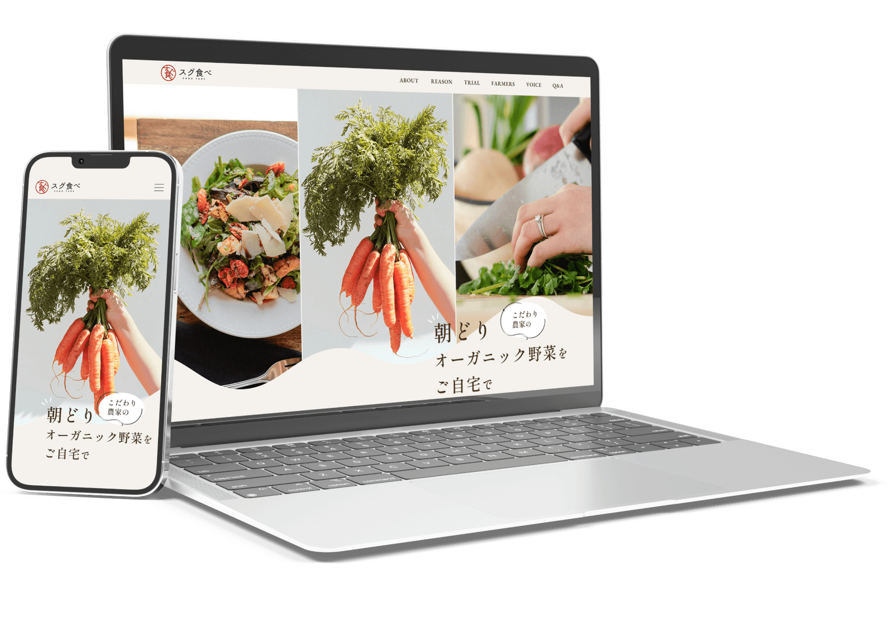 規格外野菜のサブスク「広島のばぁちゃんから届くハコ」始まりました！ - 株式会社ニシキコネクト