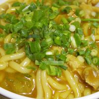 ねぎとお揚げのカレーうどん カレーうどん好きが作る！